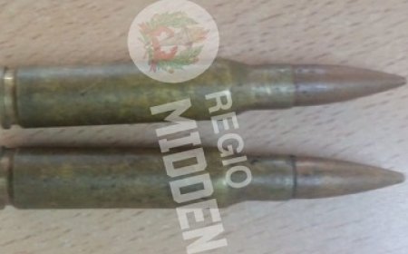 Goudzoeker aangehouden met illegale munitie tijdens controleactie
