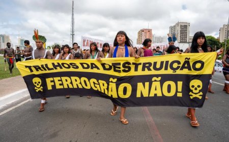 Braziliaanse Hooggerechtshof maakt weg vrij voor de ‘Graantrein’