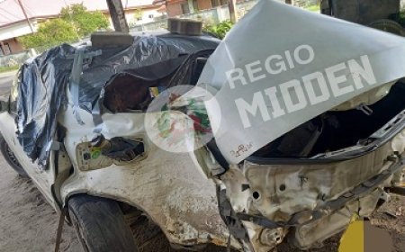 Dronken bestuurder zonder rijbewijs veroorzaakt ravage en slaat op de vlucht