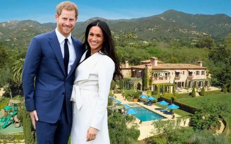 Harry en Meghan vrezen geldproblemen