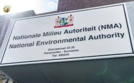 NMA: Nog geen besluit over opslag radioactieve bronnen