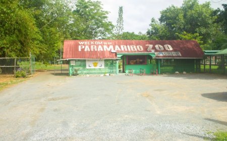 Paramaribo Zoo viert donderdag 28 mei haar 60-jarig jubileum