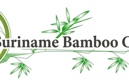 Suriname Bamboo Company zet in op biochar en duurzame export