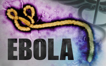 WHO: ‘Oeganda bevestigt nieuwe ebolagevallen’