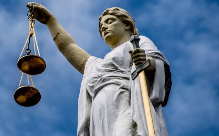 OM eist zware celstraf in schokkende seksueel misbruik-zaak rond 6-jarig meisje