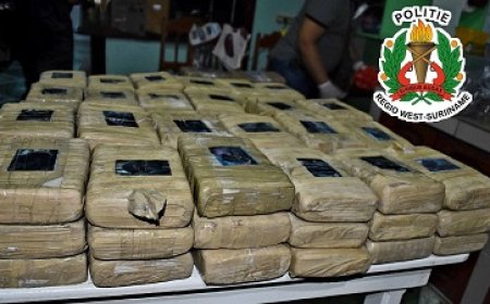 151 kg vermoedelijk marihuana of hasj en medicamenten onderschept