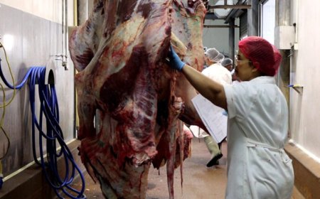 Keuren van vlees ook verplicht tijdens Eid al-Adha