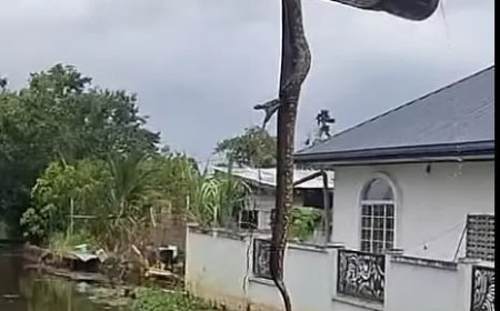 Boma aangetroffen tijdens schoonmaak kanaal Rajaweg