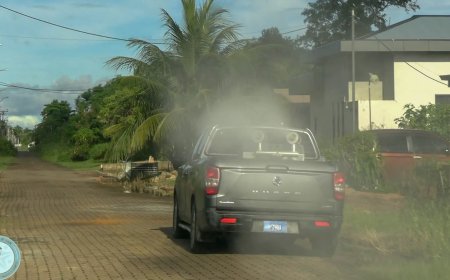 Chikungunya bespuitingen BOG eerste week juni in Rainville, Munder