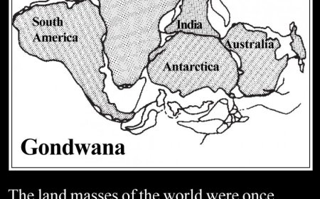India en Antarctica waren ooit verbonden