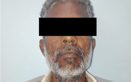Man aangehouden voor diefstal uit geparkeerd voertuig