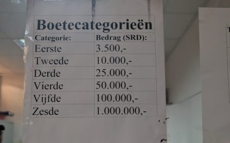 Achterlopende wetgeving ‘stimuleert’ illegaal werken migranten