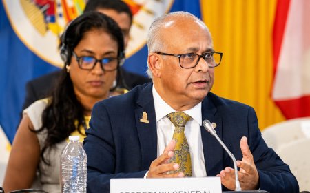 VS wil onderzoek naar beheer OAS onder Ramdin, meldt Argentijnse nieuwssite