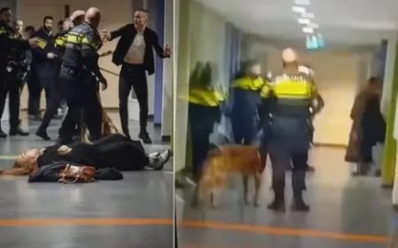 Ophef In Nederland Na Arrestatie Van Zwangere Vrouw