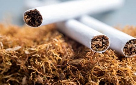 Tabak eist jaarlijks ruim 500 levens in Suriname; schade SRD 508 miljoen
