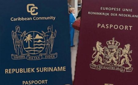 DUBBELE NATIONALITEIT GEEN KWESTIE VAN PASPOORTEN, MAAR VAN MENSENRECHTEN