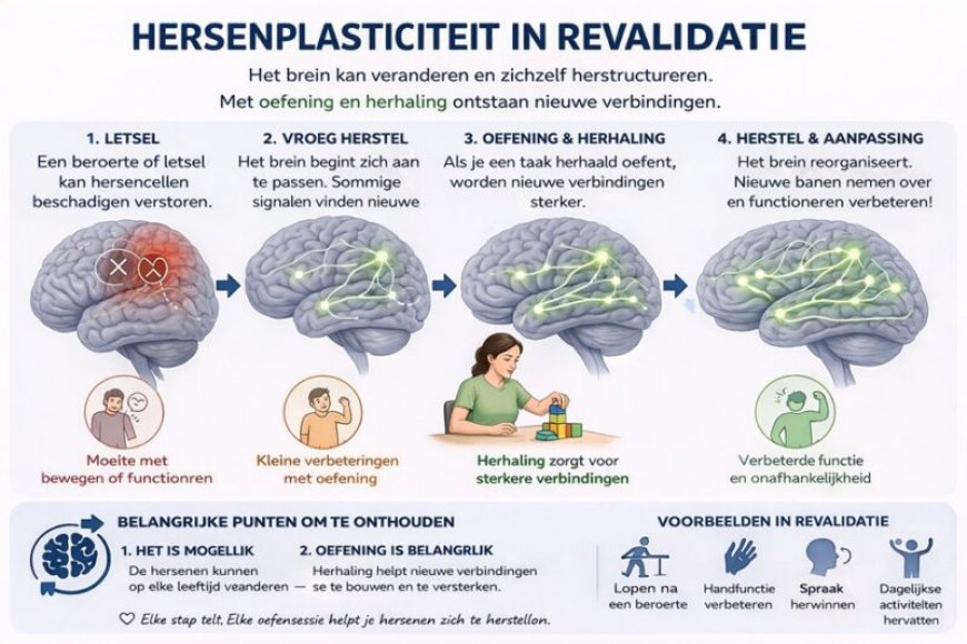 Ons wonderbaarlijk brein (16)