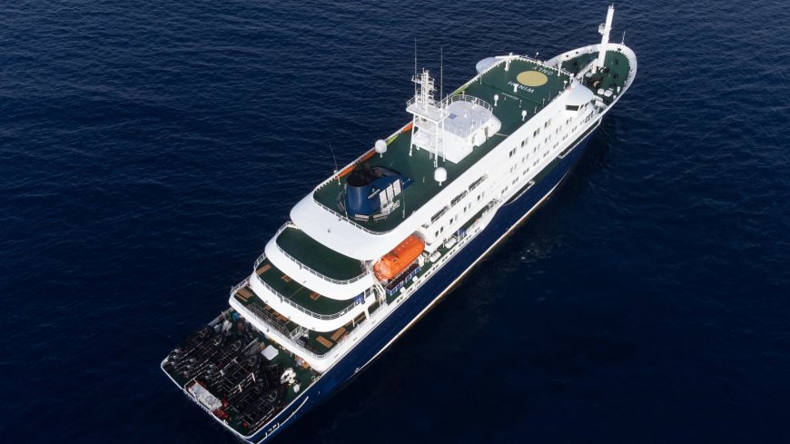 WHO: “hantavirus mogelijk van mens op mens verspreid op cruiseschip Hondius”