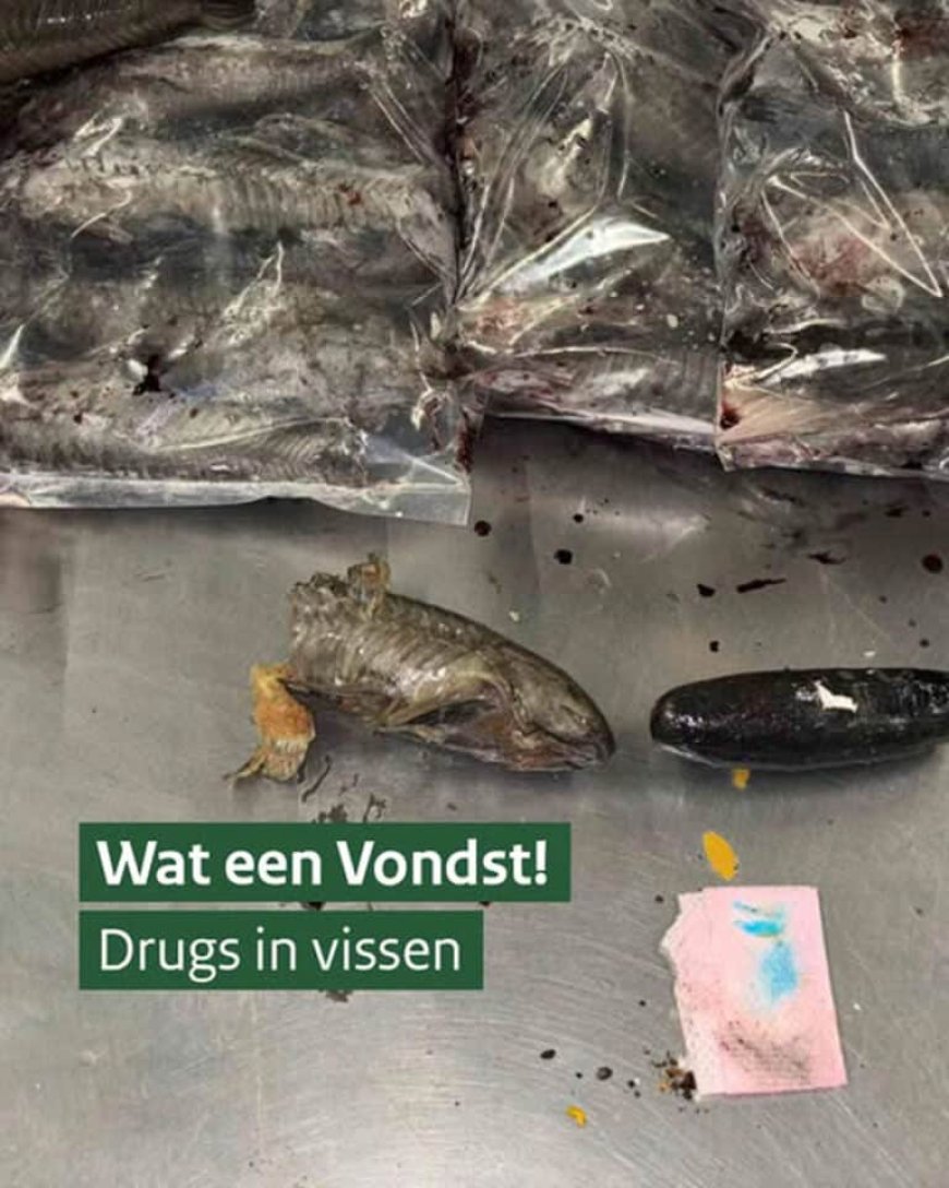 ZO LEK ALS EEN MANDJE
