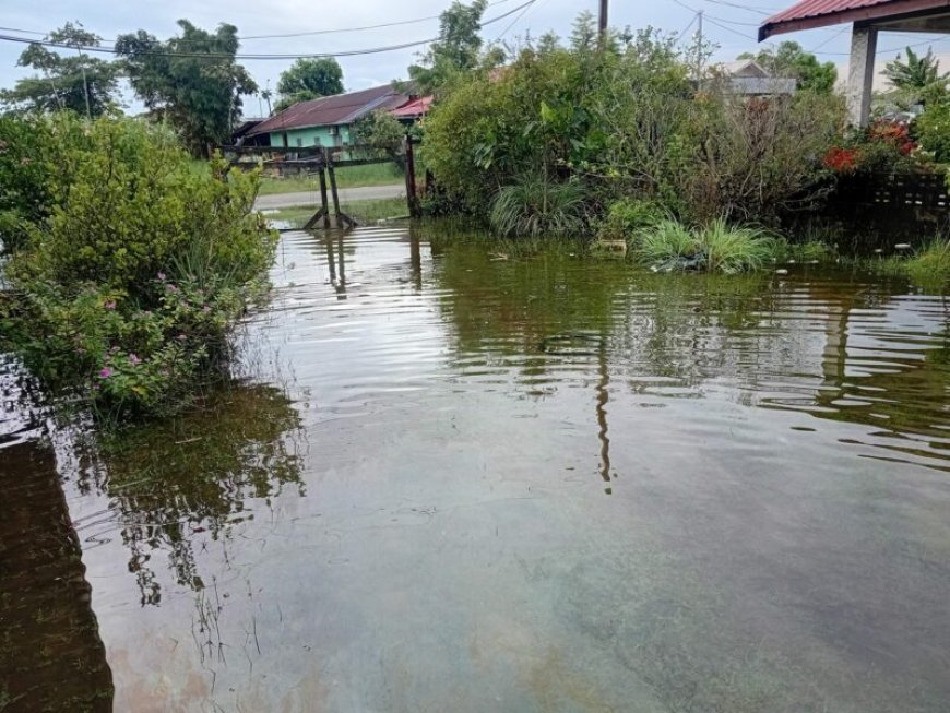 Aanhoudende regen zorgt voor wateroverlast in diverse gebieden
