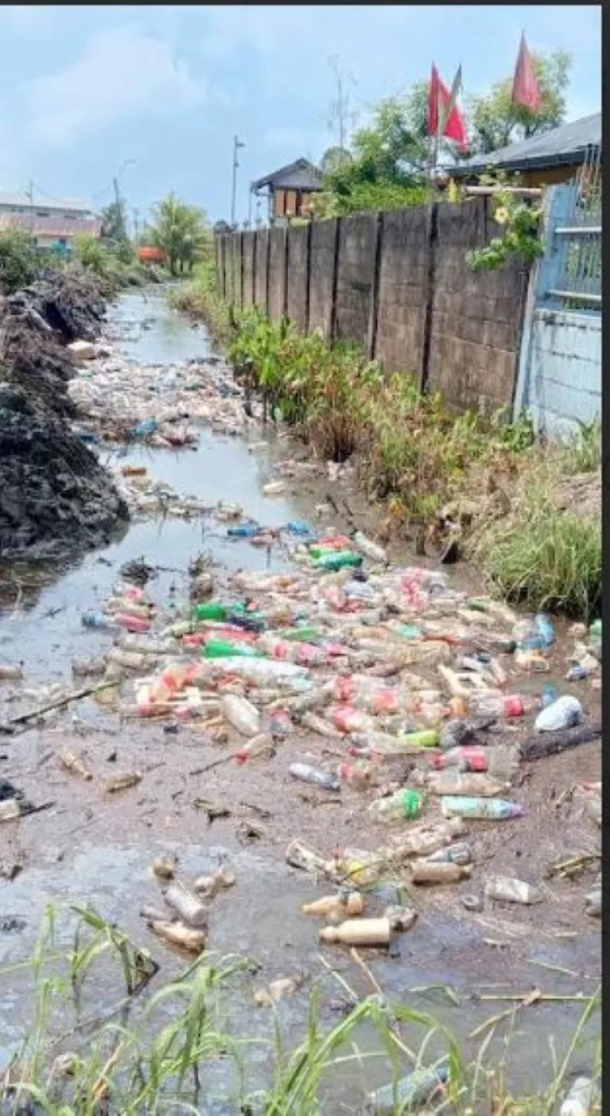 Suriname: land van de heilige goot