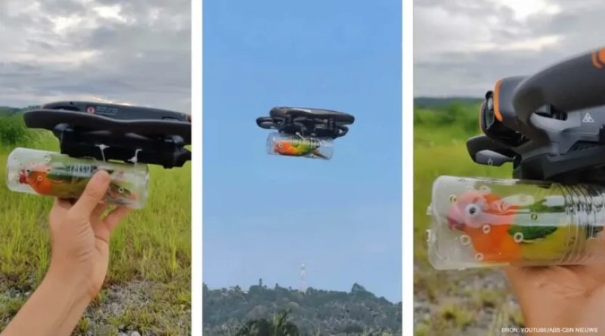 Opmerkelijk – Verlamde papegaai vliegt weer dankzij drone van Filipijnse eigenaar