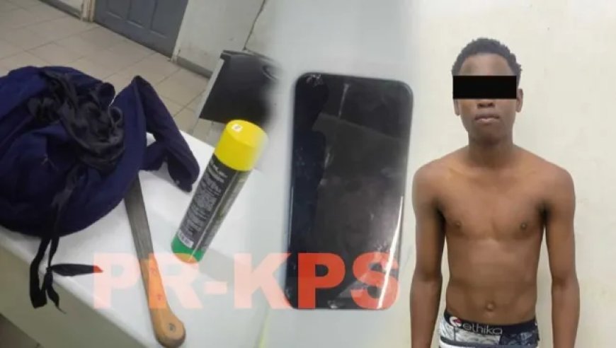 Jongen (17) opgepakt voor ernstige mishandeling van een poes