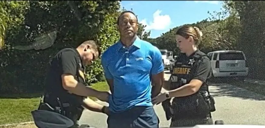 Privéjet Tiger Woods terug in Florida na revalidatie