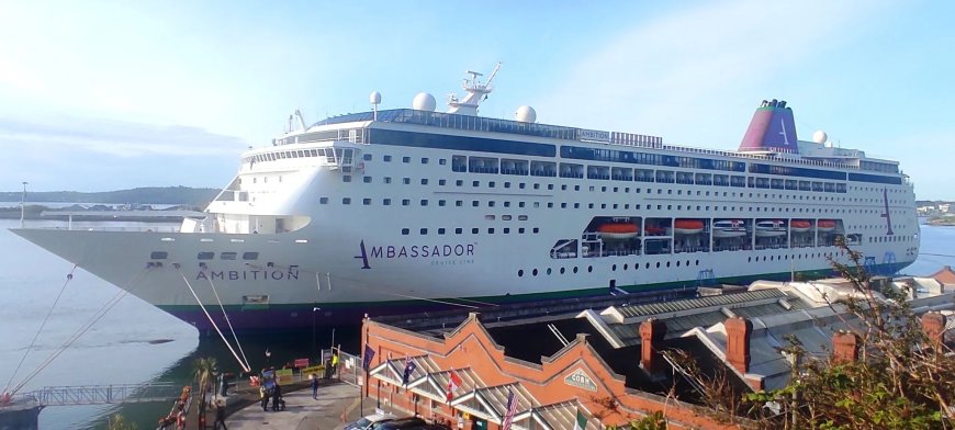 Opnieuw norovirus op cruiseschip: één dode, 1700 mensen in quarantaine
