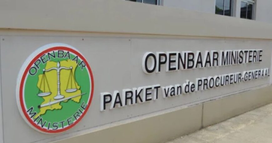 OM: Geen inverzekeringstelling mogelijk in dierenmishandelingszaak poes