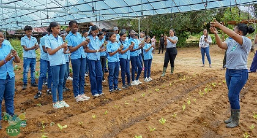 LVV viert Wereld Plantendag met landbouweducatie voor scholieren