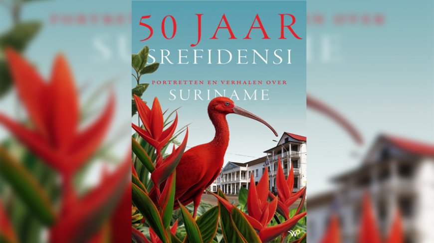 Boekrecensie: Veel interviews, weinig diepgang