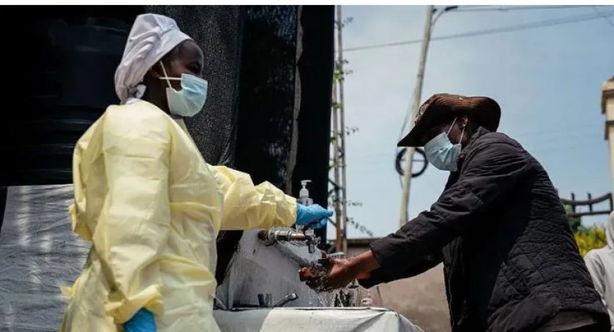 131 doden door Ebola-uitbraak in Congo