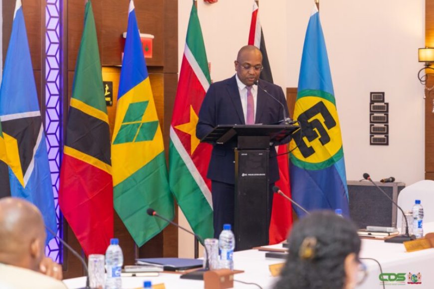 Bouva wil nadrukkelijkere internationale rol Caricom