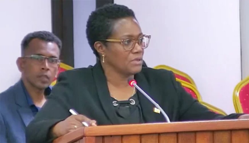 Minister Wijnerman verdedigt uitstel Comptabiliteitswet 2024 tot 2029