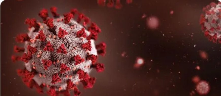 India stelt Afrika-top uit wegens angst voor Ebola-uitbraak