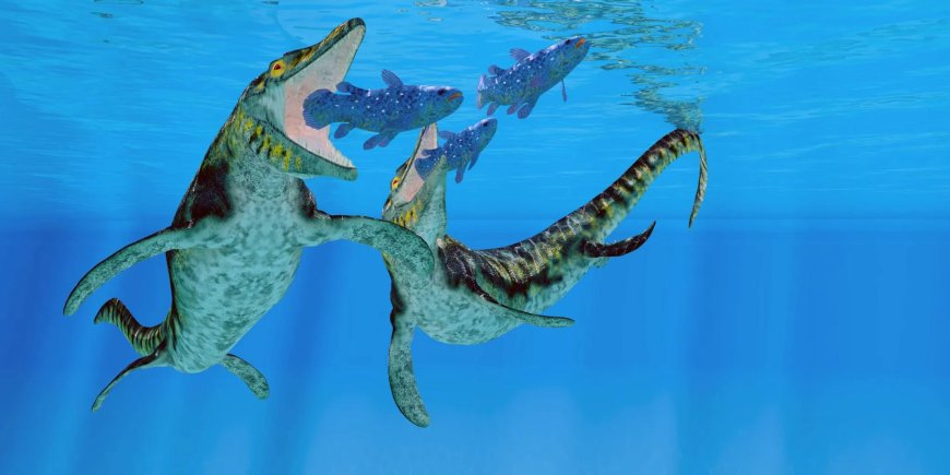 Gigantisch zeemonster ontdekt als ‘T-Rex van de oceaan’
