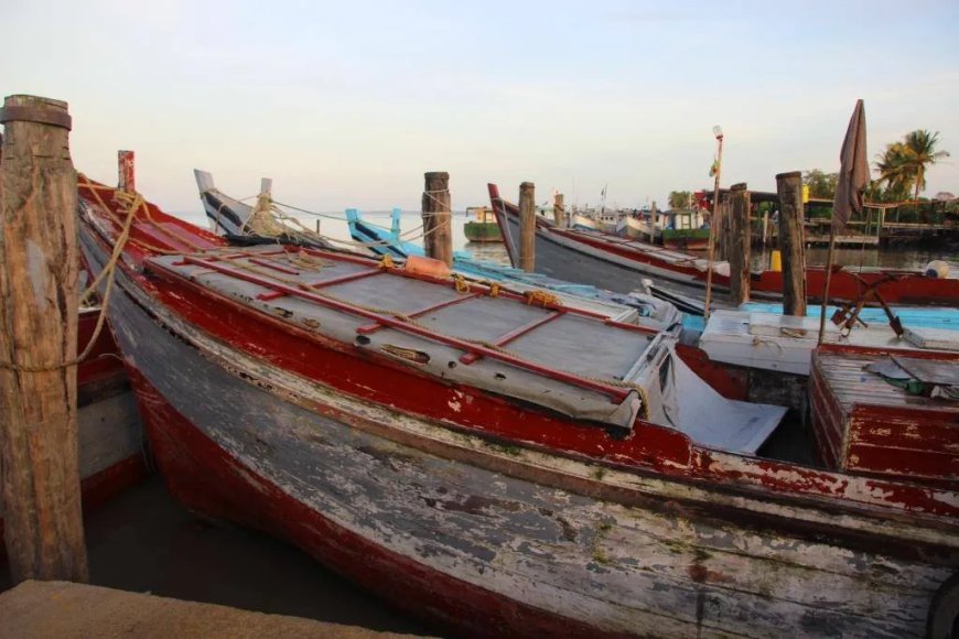 LVV benadrukt belang van vrije vismigratie in Suriname