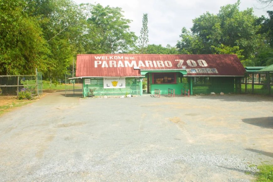 Paramaribo Zoo viert donderdag 28 mei haar 60-jarig jubileum