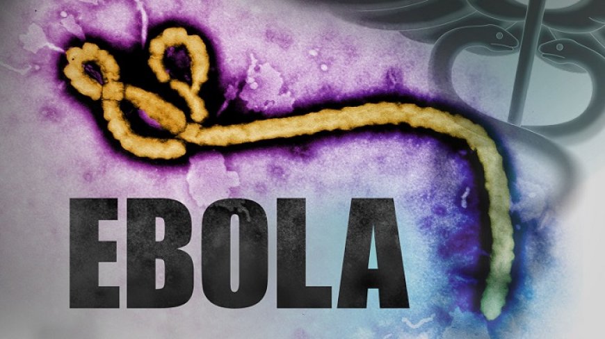 WHO: ‘Oeganda bevestigt nieuwe ebolagevallen’