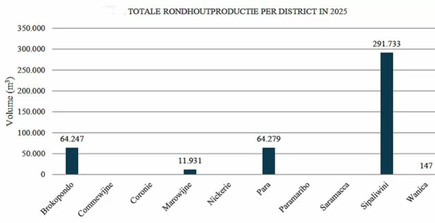 Houtproductie daalt licht in 2025; Sipaliwini blijft grootste productiegebied