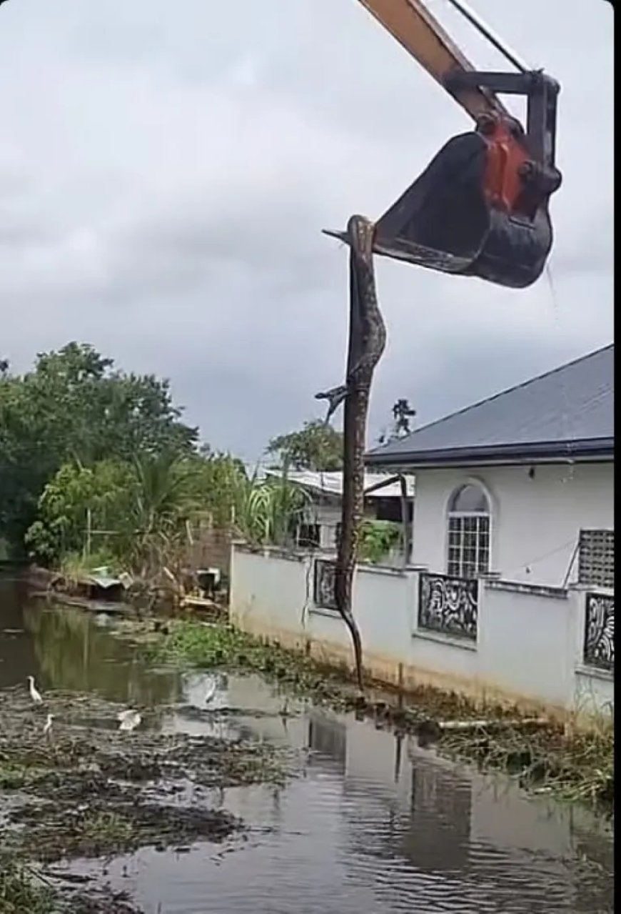 Aboma aangetroffen tijdens schoonmaak kanaal Radjaweg
