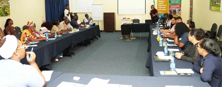 Matawai Traditioneel Gezag en planetGOLD Suriname in gesprek over duurzame goudwinning