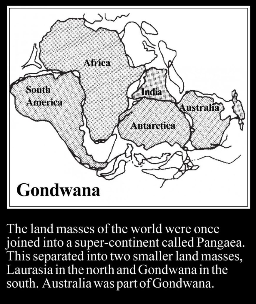 India en Antarctica waren ooit verbonden