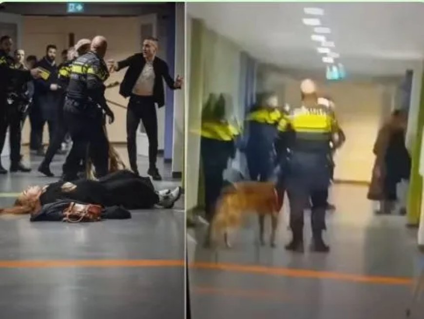 Ophef In Nederland Na Arrestatie Van Zwangere Vrouw