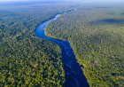 Braziliaanse overheid investeert 617,5 miljoen dollar in ecologische projecten Amazonegebied