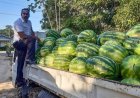 Jogi: ´Agrarisch beleid ontbreekt, boeren worden aan hun lot overgelaten´