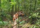Bigi Poika toont respect voor het bos; Hoe een kleine gemeenschap geschiedenis schreef 