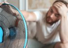 Hitte en zon domineren weekendweer