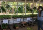 LVV brengt landbouwkennis naar Fun Fair Anton Residaschool